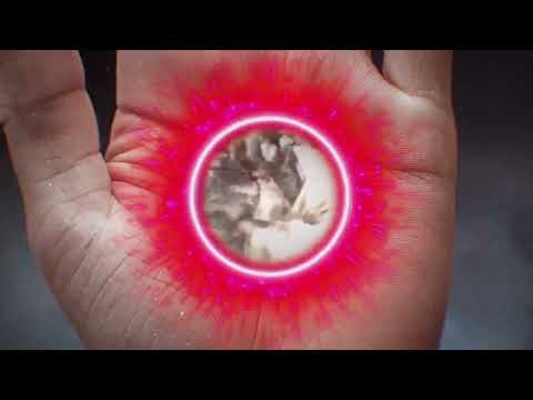 Miniature : Motion Design pour une vidéo Enquête