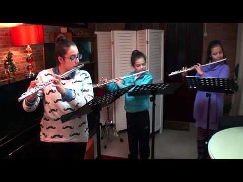 Ana Beatriz Morgado Ana Sofia Santos Laura Abreu flauta transversal prof  Diana Guardado O Little One Sweet J S  Bach Dez2012