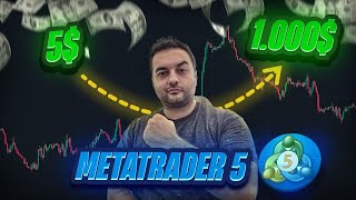 MetaTrader 5 Eğitimi ! 5$ ile 1.000$ Dolara Doğru Yolculuk! Gerçek Hesap Nasıl A