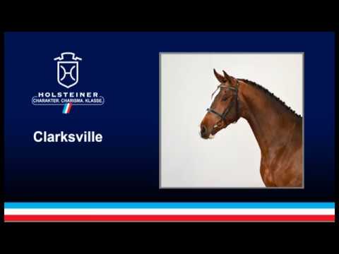 Holsteiner Verbandshengste 2019 - Clarksville