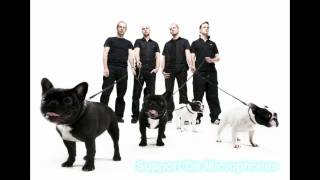 Don Johnson Big Band - 24h