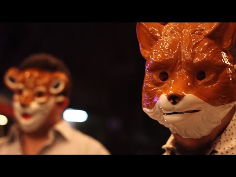 Animal video