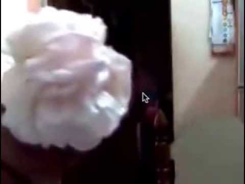 Twin Roses in our garden