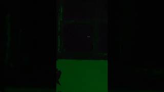 Download lagu perhatikan ada sesosok genderuwo #short mp3