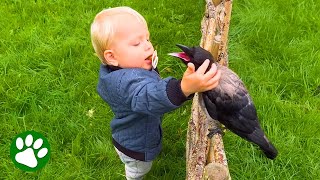 Toddler And Crow Are Best Friends