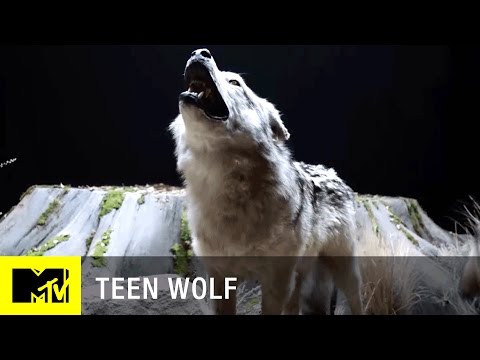 Teen Wolf Season 6 (Teaser 'The Last Time')