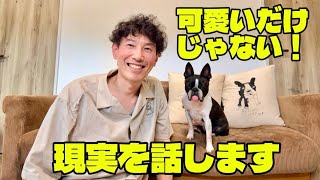 【犬との暮らし】可愛いだけじゃない！飼う前に知るべきこと