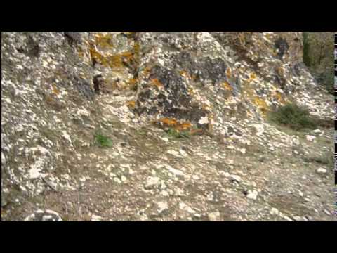 Grotta porcina - Etruscan mound and necropolis