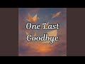 One Last Goodbye