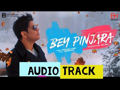 Anurag Bhomia Bej Pinjara - Ankit Tiwari