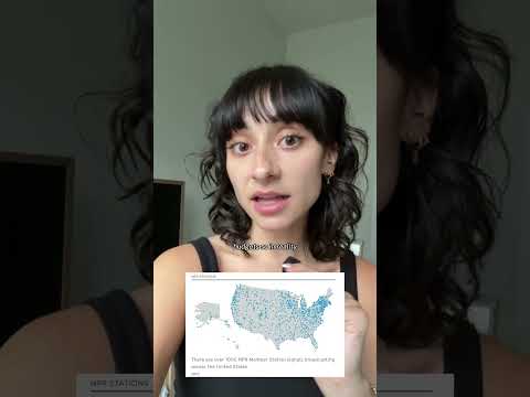 Rally for the Support of Democracy and Development (RSDD-RDA) video 3