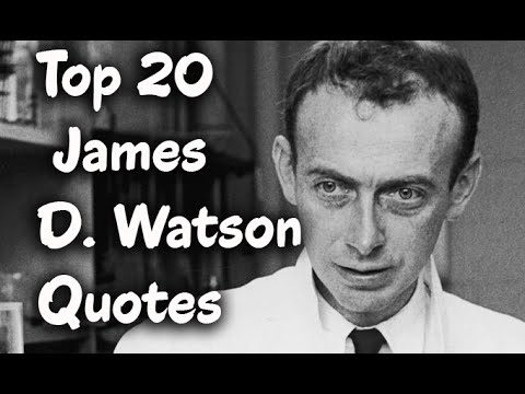 Top 20 James D. Watson Quotes -  American Molecular Biologist