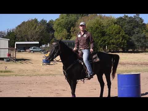 Tips on horses that Cheat the Barrel