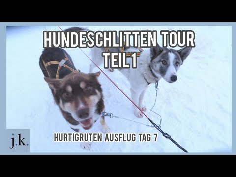 Kirkenes Schneehotel zur Husky Schlittenfahrt - Hurtigruten Ausflug 7F