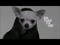 Billie Eilish - No Time To Die | Dog Cover Billie Eilish - No Time To Die | Dog Cover