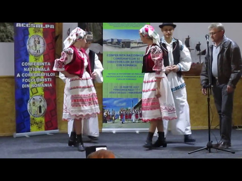 Ansamblul APATEANA din Apateu, jud Arad