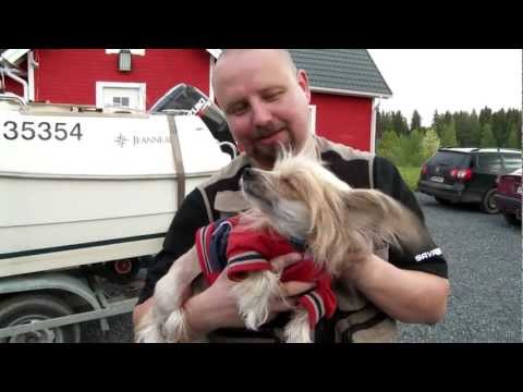 Sampsan seikkailijat