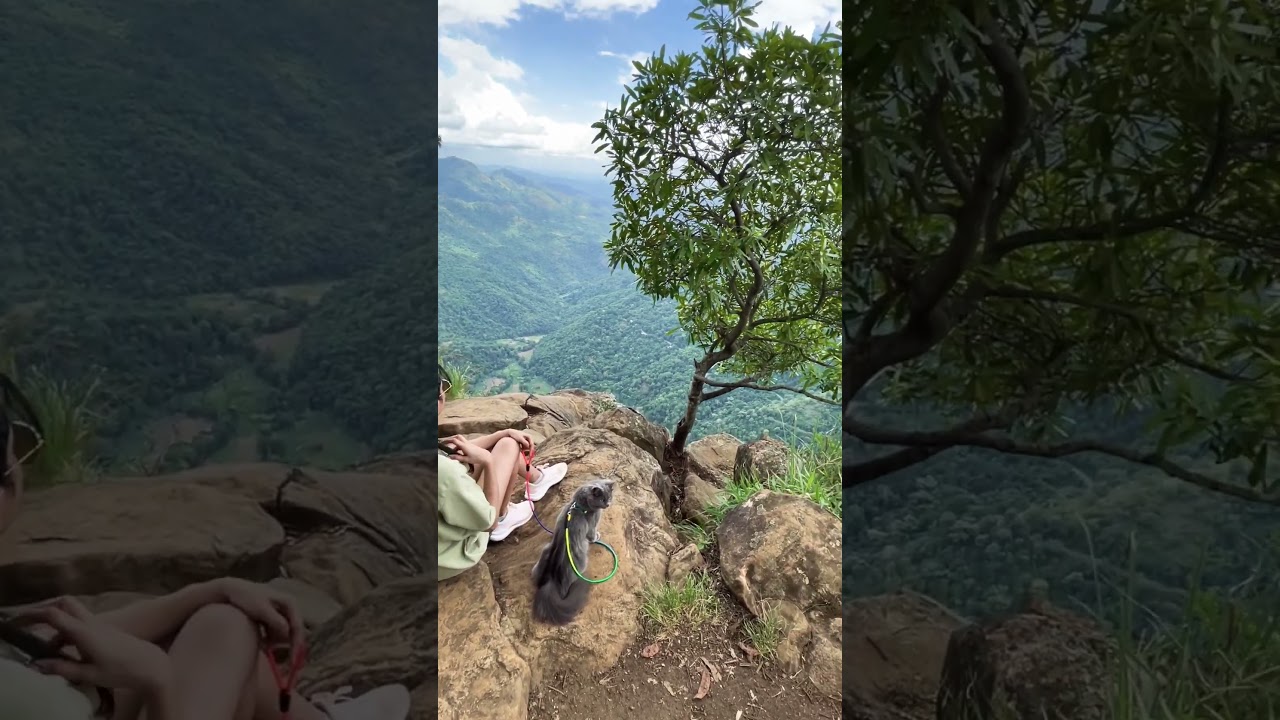 YouTube Short thumbnail