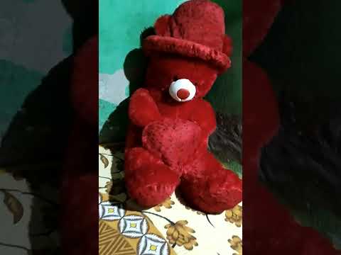 😘cute teddy status ✅ Teddy whatsapp status teddy 4k status ❤️Teddy bear status cute teddy status