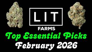 LIT Farms - Best Essential Tier Strain Picks - February 2026 - Grown by LIT, Fresh COA's