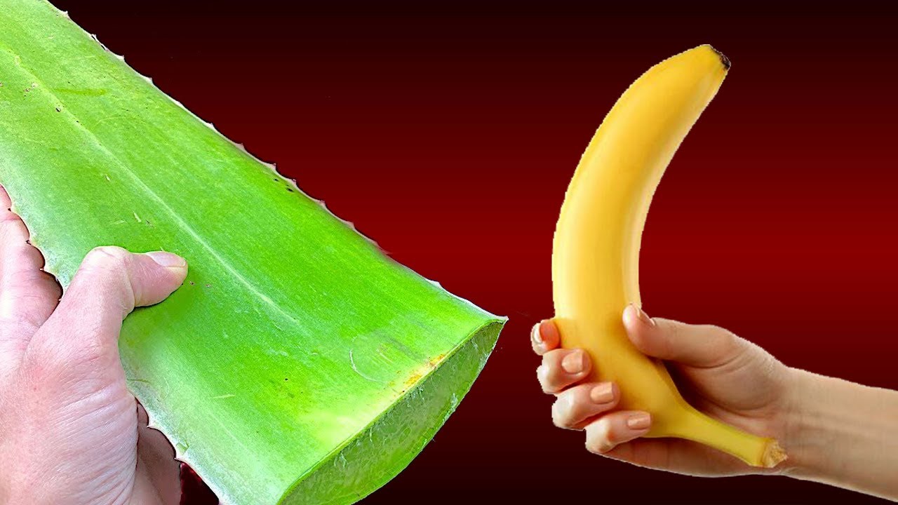 A morte começa no intestino! 150 vezes mais forte que antibióticos