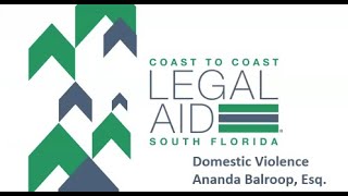 Strength in Protection: Mastering Domestic Violence Injunctions