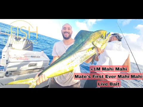 BIG Mahi Mahi at The FADS, FULL VIDEO