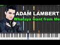 Adam Lambert - Whataya want from Me Piano ...