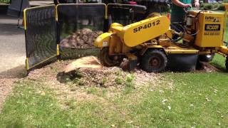 preview picture of video 'Tree stump removal by RichardTheStumpgrinder.co.uk'