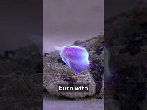 Sodom & Gomorrah Sulfur Balls Discovered! Discoveries by the Dead Sea - Full Video in Description