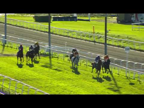 2017.10..08 Terje Dahl Champion Hurdle (NOR) - Varennes