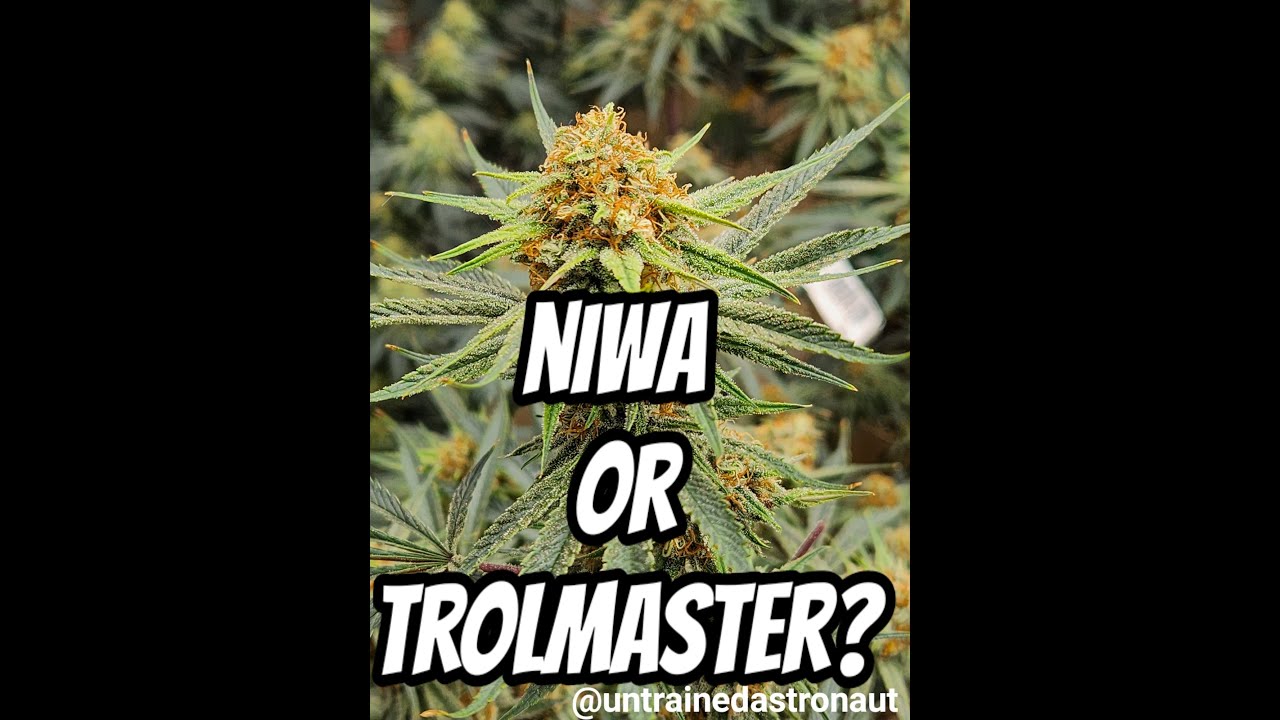 NIWA or TROLMASTER?