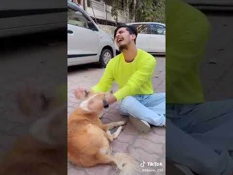 One funny video for Bhavin's birthday 🤣🤣🤣🤣 #bhavin #bhavsena