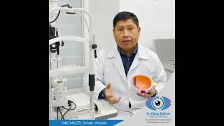 👁 DEGENERACIÓN MACULAR relacionada a la edad - Oftalmólogo César Bolívar - Arequipa