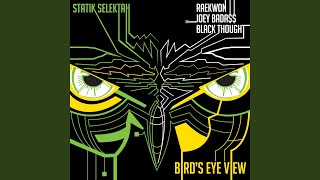 Bird&#39;s Eye View (feat. Raekwon, Joey Bada$$ &amp; Black Thought)