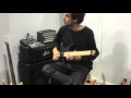 Plini - Selenium Forest Live @ NAMM 2016