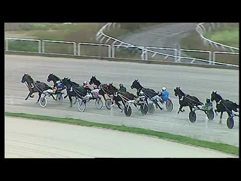 Trotto 08/01/2021 - 5ª corsa