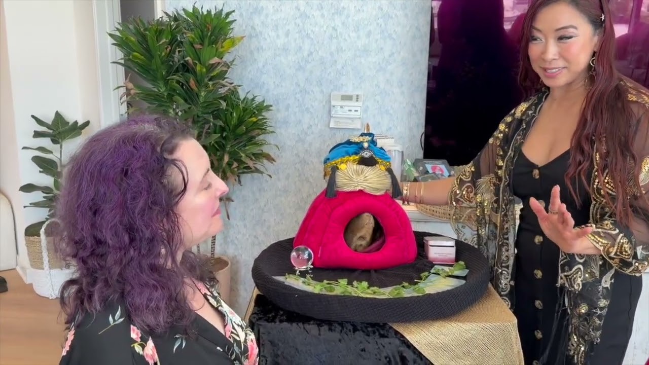 Promotional video thumbnail 8 for Christine Lee Cirque- Magician, Stacking Chair Acrobat, Aerialist & Mystics