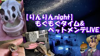 【りんりんnight】【りんりんnight】リハビリ配信！うちの子のお世話メイン2026/03/28【りんと日記】