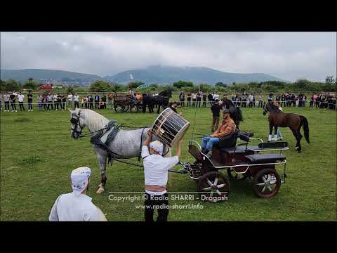 Gara me Kuaj në Opojë - Dita e Çlirimit • (#TransmetimeRSH - 25.06.2023)