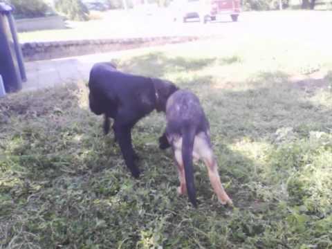 Čas jde dál.... Pro mojého mišáčka Nitramka