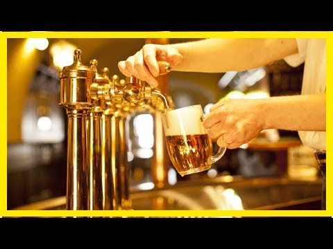 Gesundheit: Gezapftes Bier laut Stichproben vielfach mit Bakterien verseucht