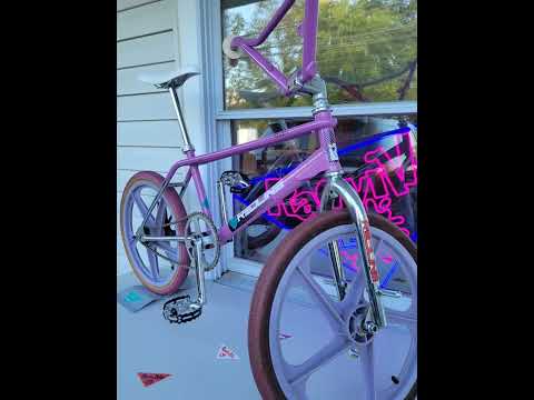 1987 Redline RL-20II snapshot