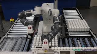Bottle Loading Cobot