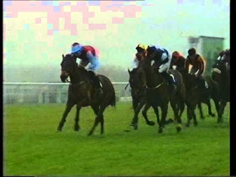 1993 Long Walk Hurdle