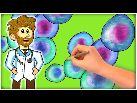 Stem Cells: How FASTING Enhances STEM CELL REGENERATION!