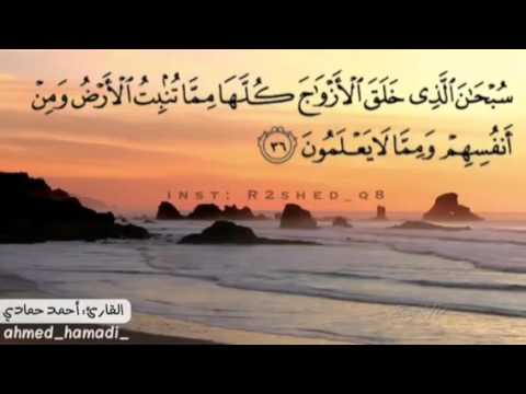 Ahmed Hamadi Sourat Yacin || سورة يس بصوت القارئ أحمد حمادي عطر مسامعك