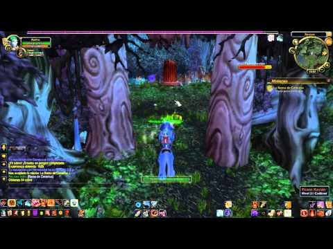 WoW Mision - La Rama de Cenarius