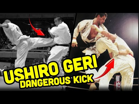 Ushiro Geri The Most Dangerous Kick in Karate