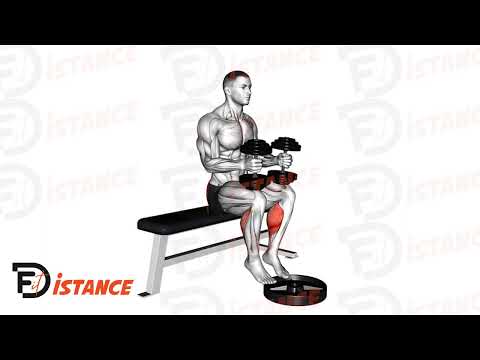 Exercice Extensions de mollets assis avec haltère